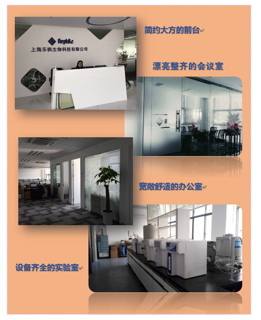 RephiLe上海办公室乔迁庆典